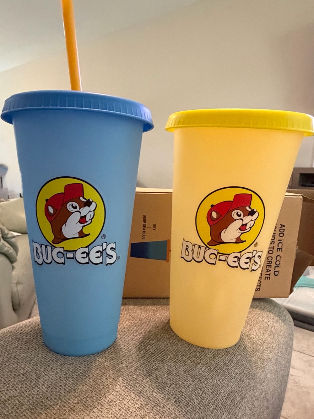 Buc-ee's Set of 2 25 oz Tumblers - NEW